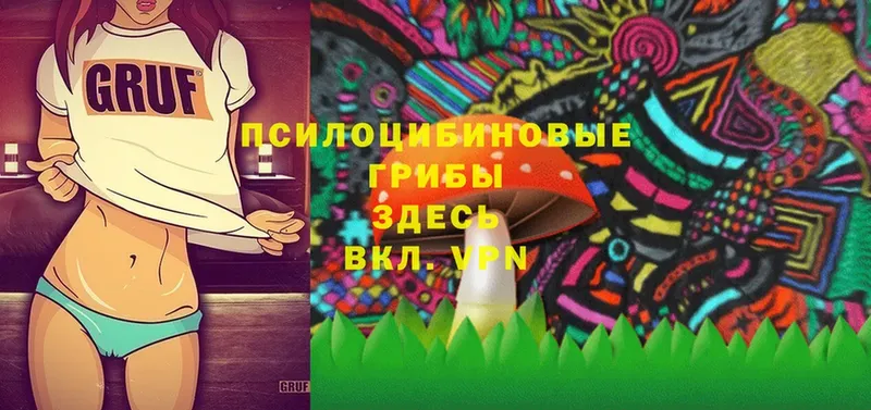 Галлюциногенные грибы Magic Shrooms  Наволоки 